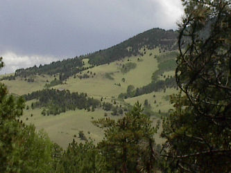Photo of close-up view of house across the valley from the burn.