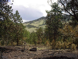 Photo of a distant view of house across the valley.